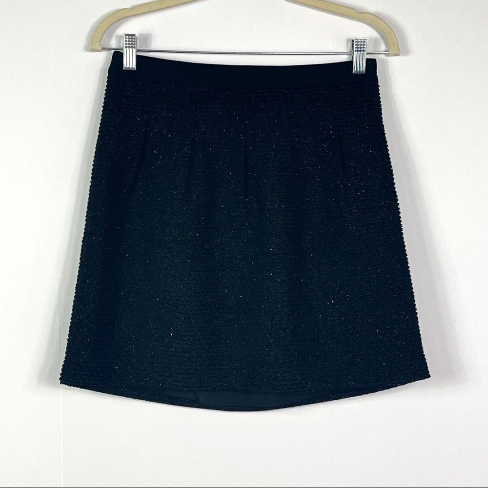 LOFT Petite Sparkle Pleated Full Skirt, size 2P